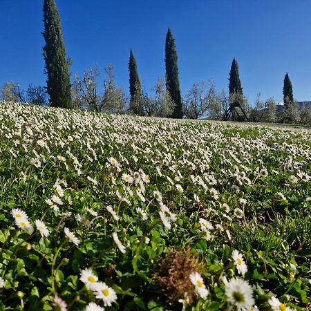 Agriturismo Val Della Pieve Anghiari Ngoại thất bức ảnh