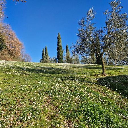 Agriturismo Val Della Pieve Anghiari Ngoại thất bức ảnh