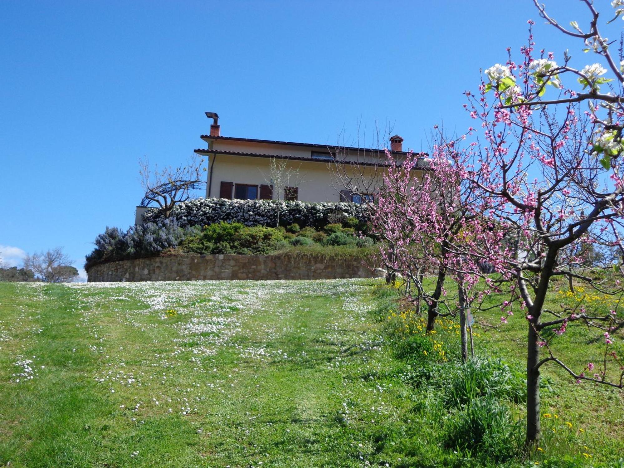 Agriturismo Val Della Pieve Anghiari Ngoại thất bức ảnh