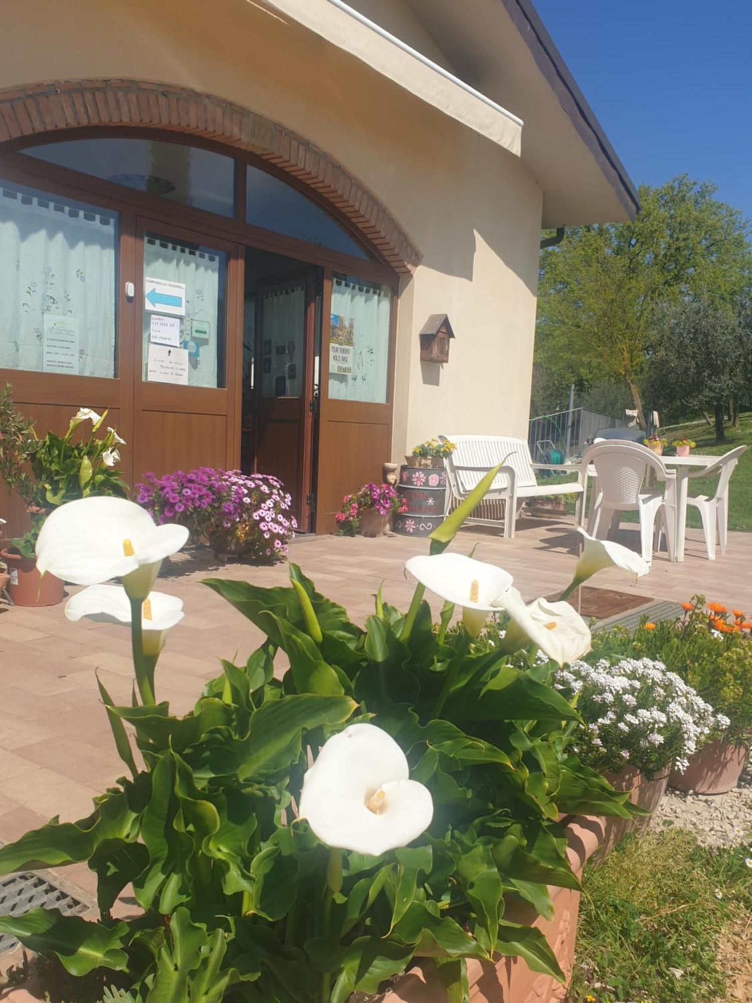 Agriturismo Val Della Pieve Anghiari Ngoại thất bức ảnh
