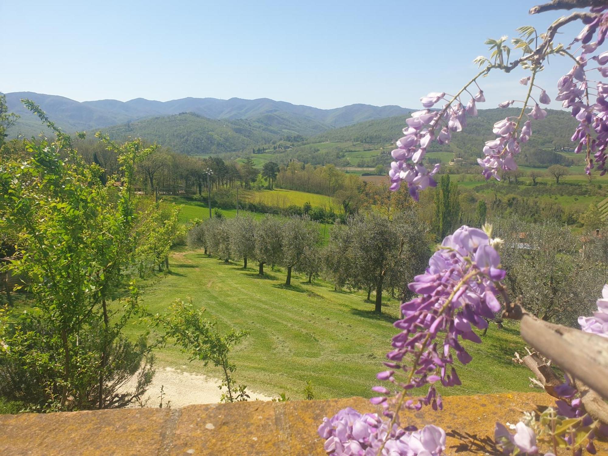 Agriturismo Val Della Pieve Anghiari Ngoại thất bức ảnh
