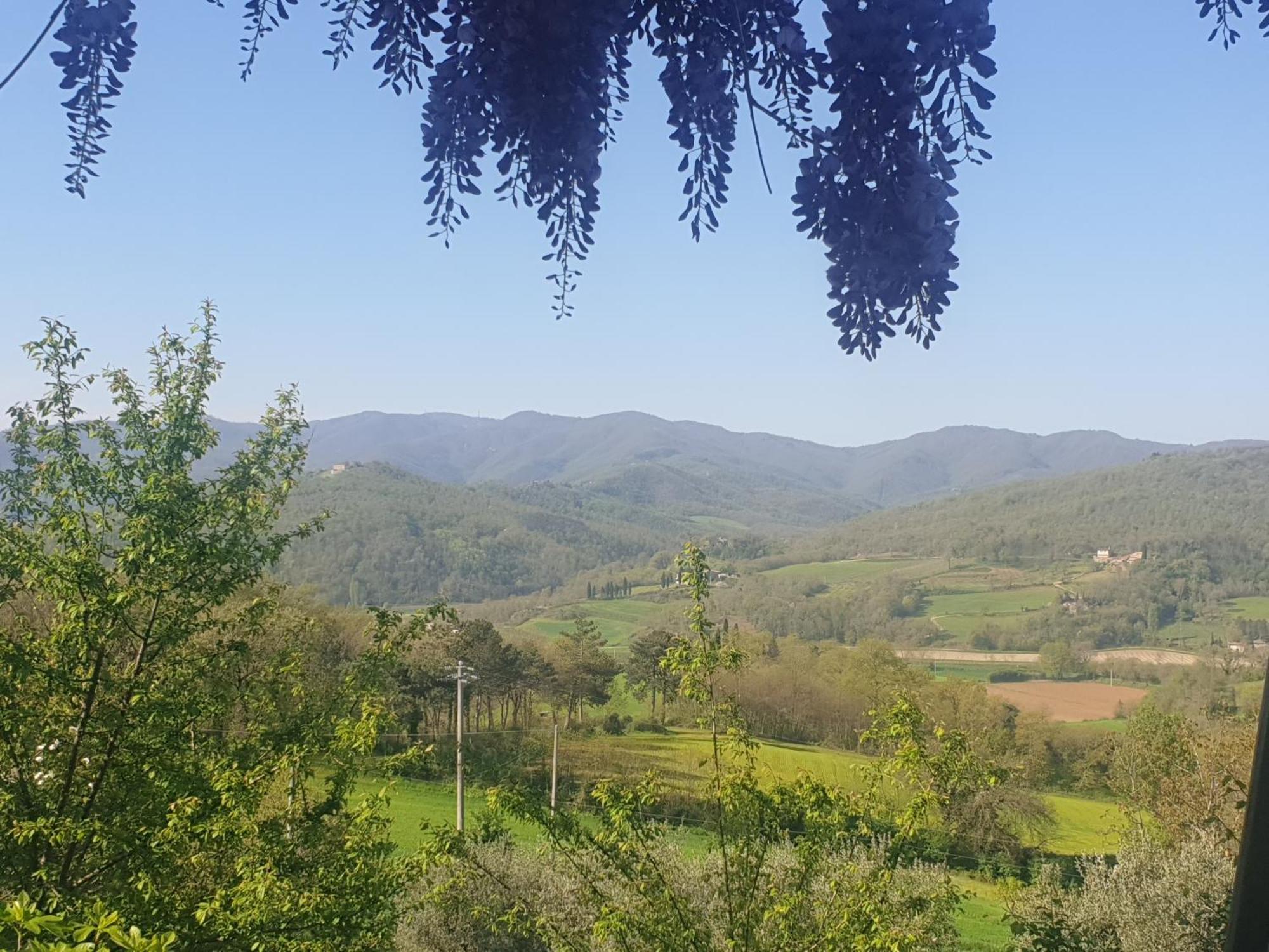 Agriturismo Val Della Pieve Anghiari Ngoại thất bức ảnh