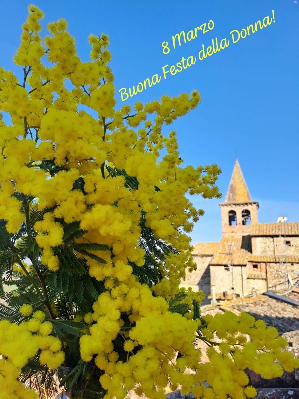 Agriturismo Val Della Pieve Anghiari Ngoại thất bức ảnh