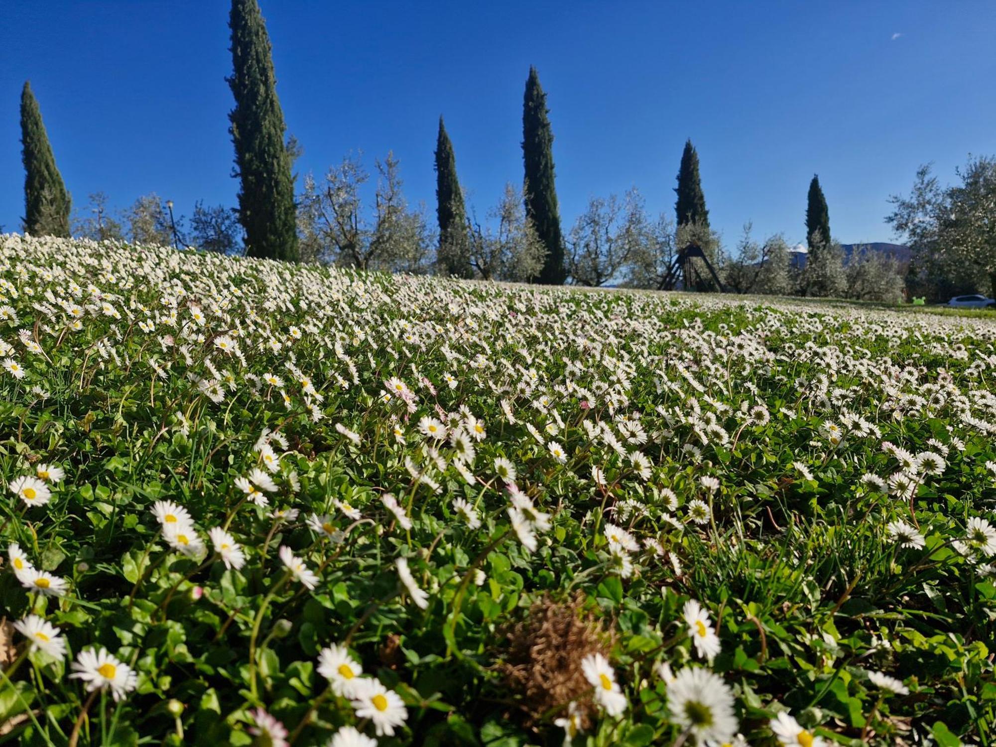 Agriturismo Val Della Pieve Anghiari Ngoại thất bức ảnh