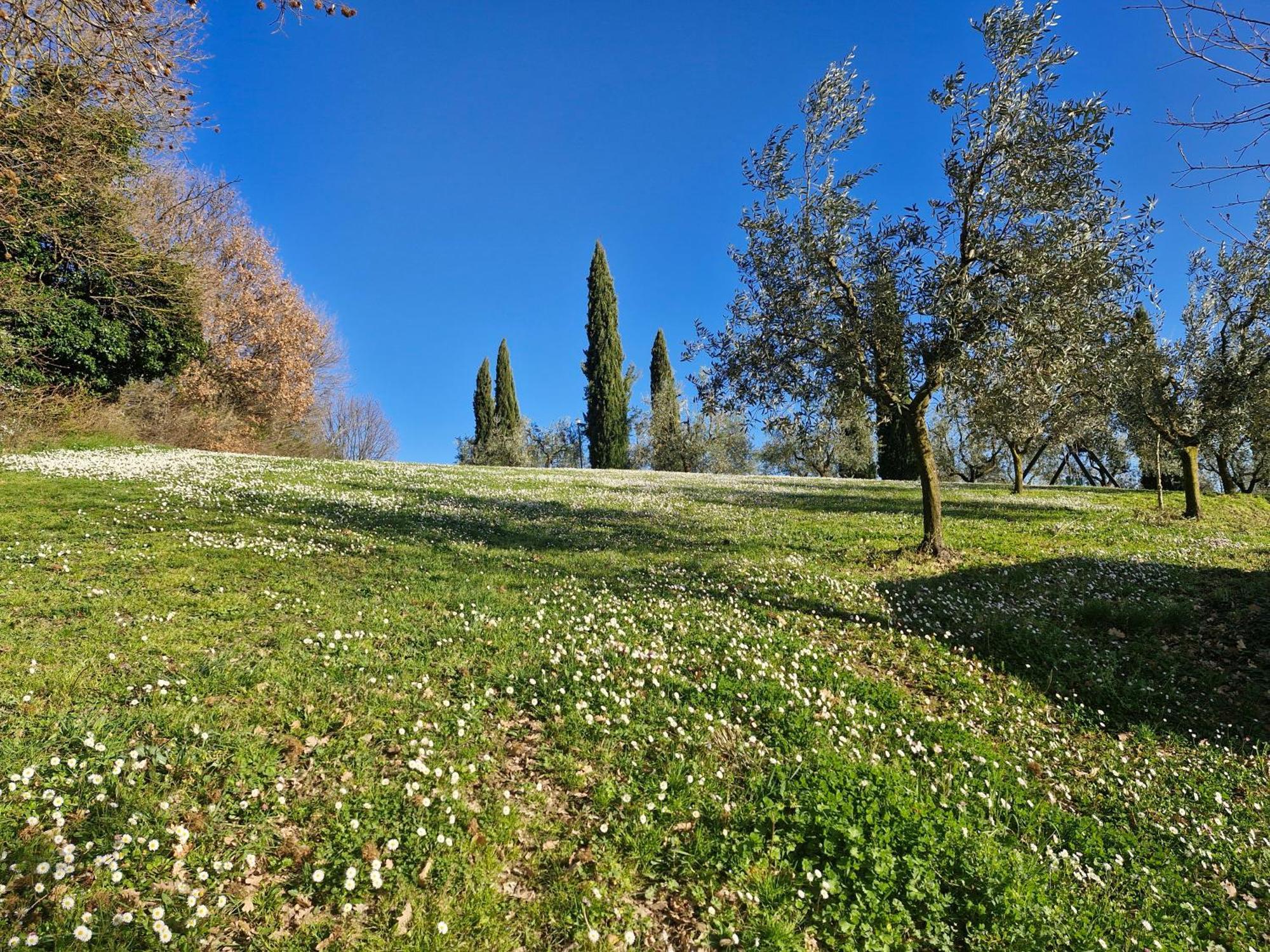 Agriturismo Val Della Pieve Anghiari Ngoại thất bức ảnh